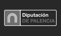 Diputación provincial de Palencia